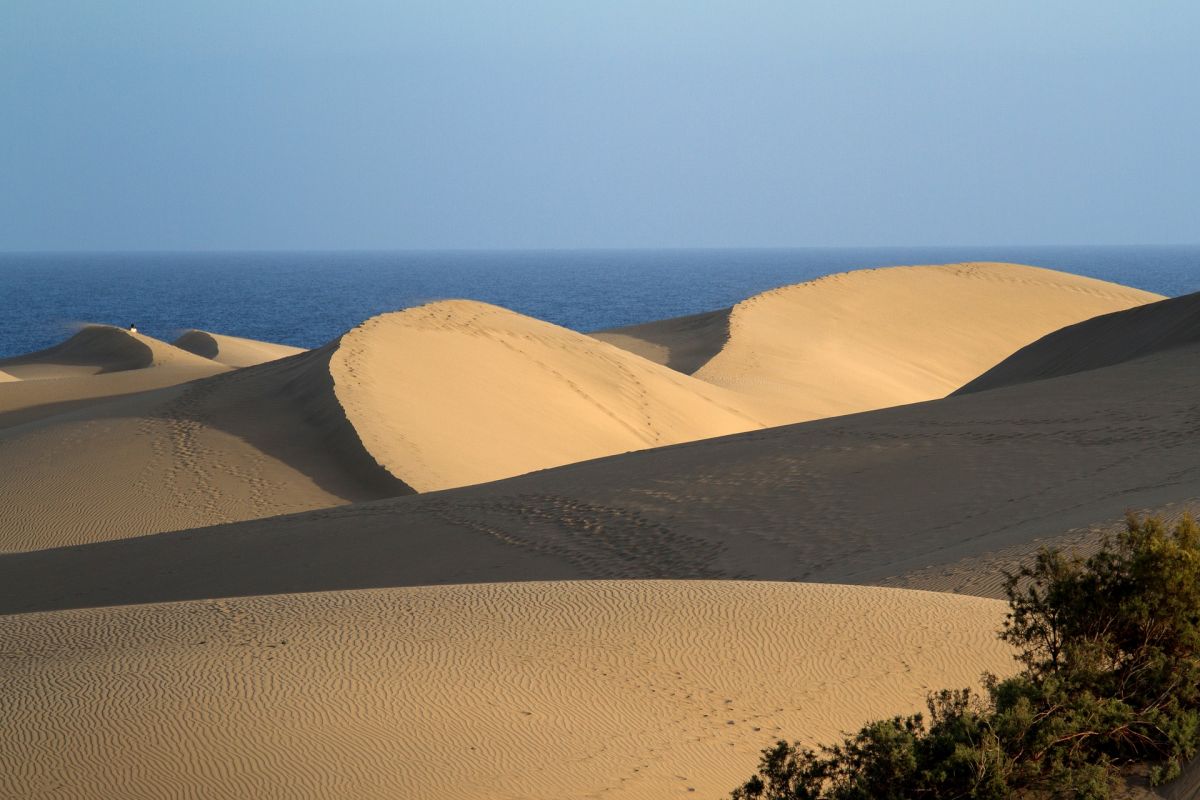 Дюны что это такое на море фото